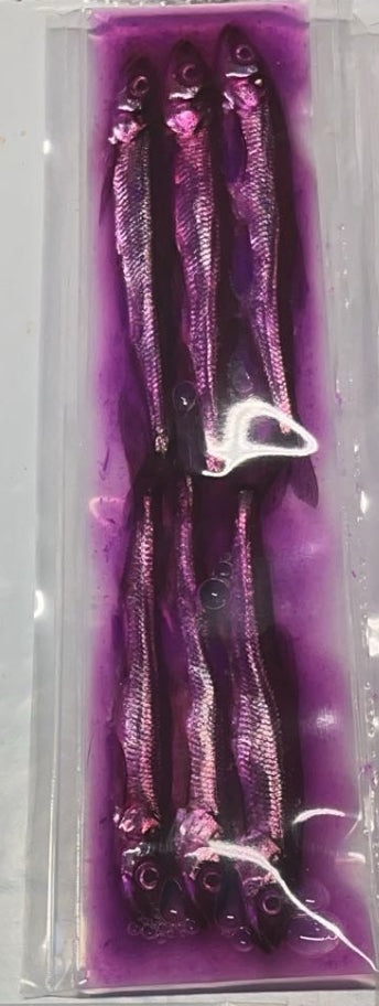 Brined Smelts 3-4” (purple)