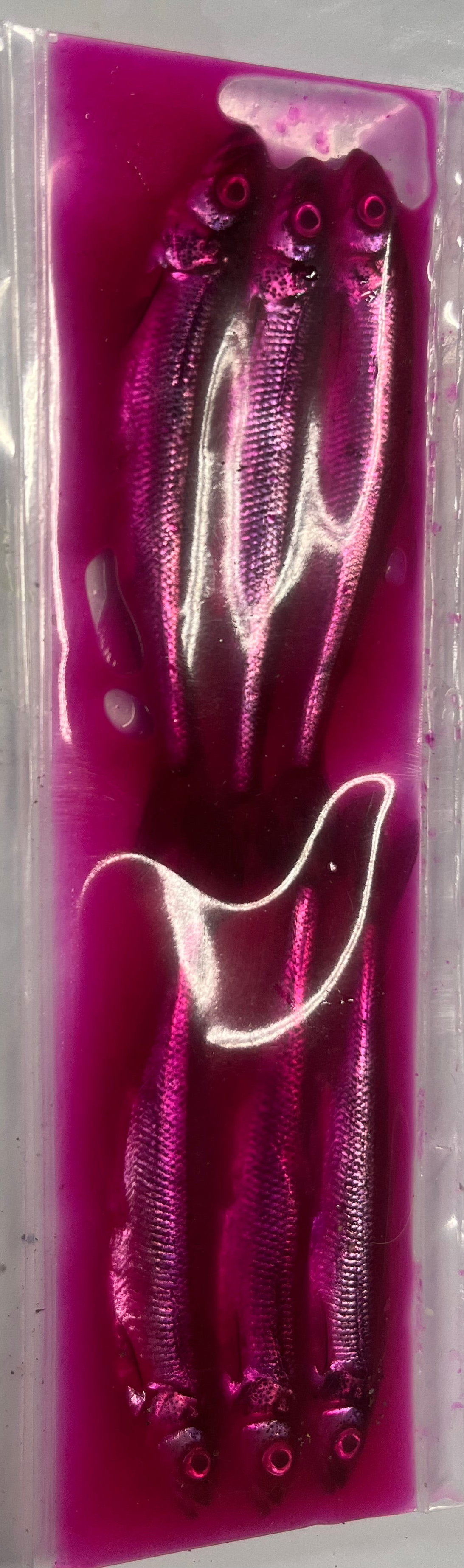 Brined Smelts 4-5” (red/magenta)