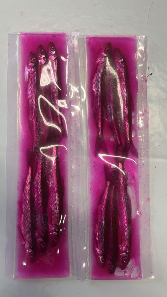 Brined Smelts 3-4” (red/magenta)