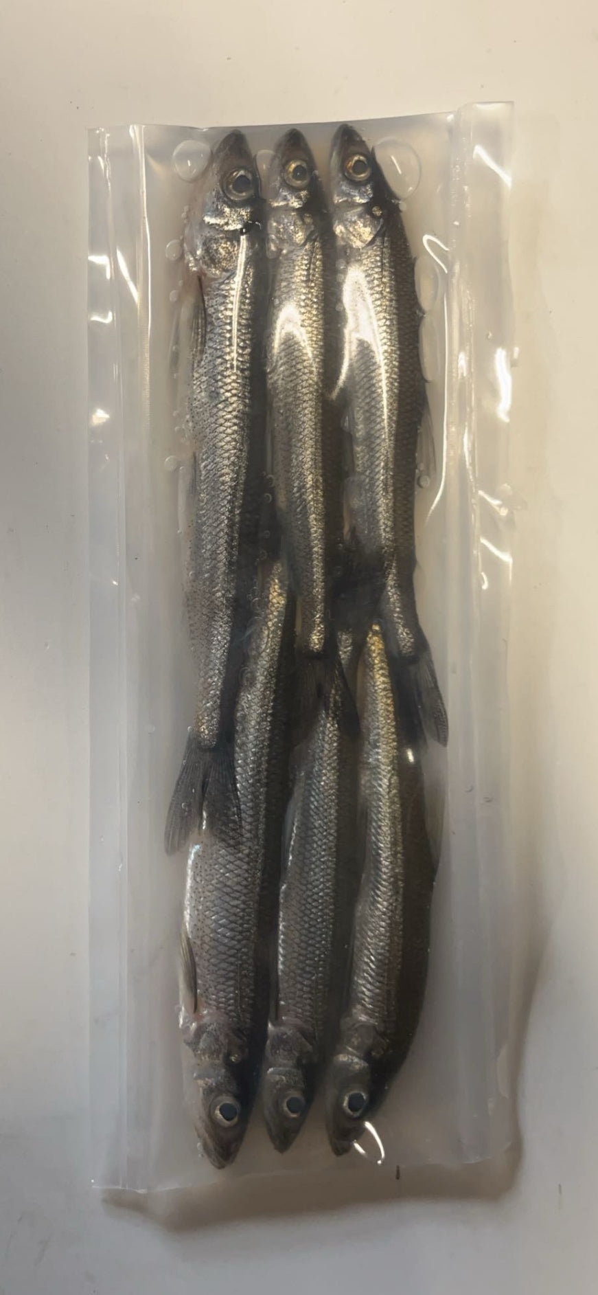Brined Smelts 5-6” (natural)