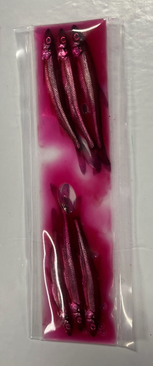 Brined Smelts 3-4” (light pink)