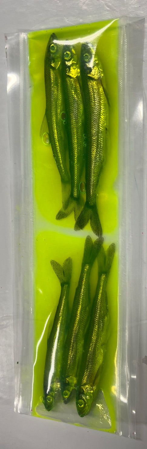 Brined Smelts 3-4” (chartreuse)
