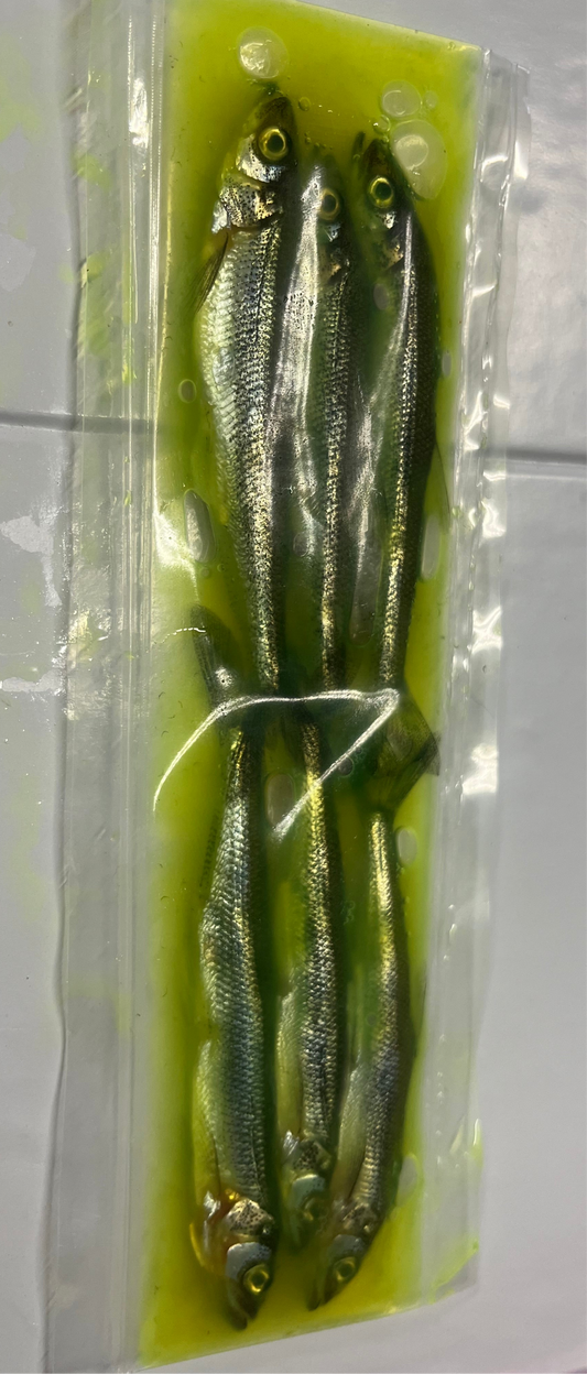 Brined Smelts 4-5” (chartreuse)